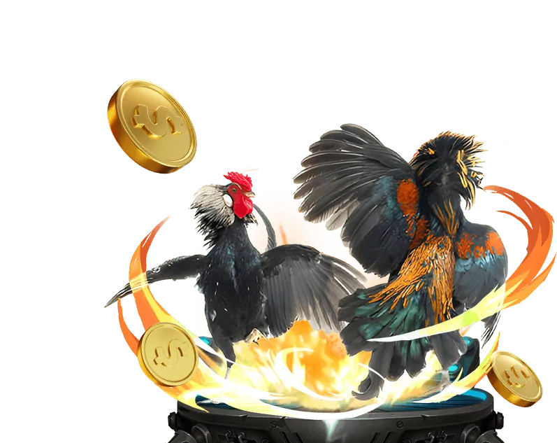 Các tính năng nổi bật của okvnd nhà cái như bảo mật, trò chơi đa dạng và hỗ trợ khách hàng